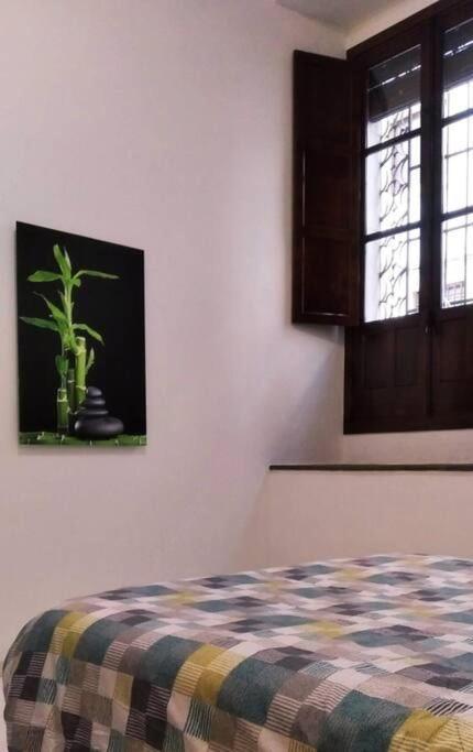 Apartment Disfruta De La Historica *